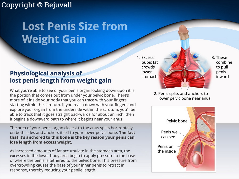 Penis Enlargement After Weight Gain - Rejuvall